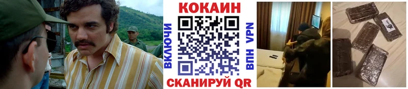 наркота  Ладушкин  Кокаин Эквадор 