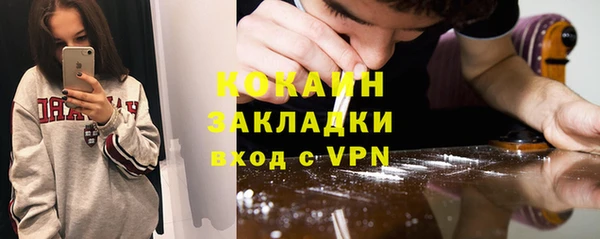 шишки Балахна