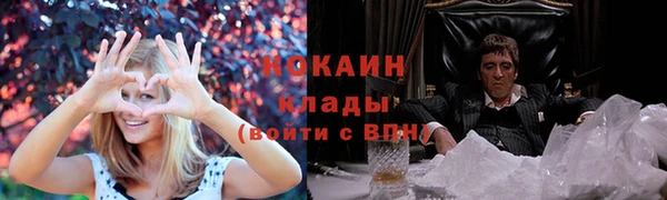 шишки Балахна