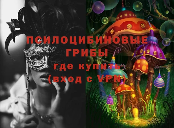 шишки Балахна