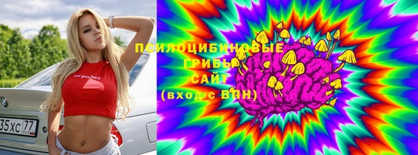 шишки Балахна