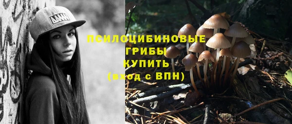 шишки Балахна