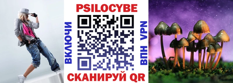 Псилоцибиновые грибы мухоморы  купить наркотик  Ладушкин 