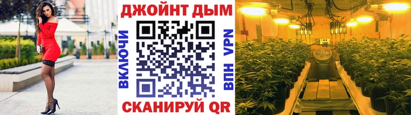 Каннабис VHQ  цены   Ладушкин 
